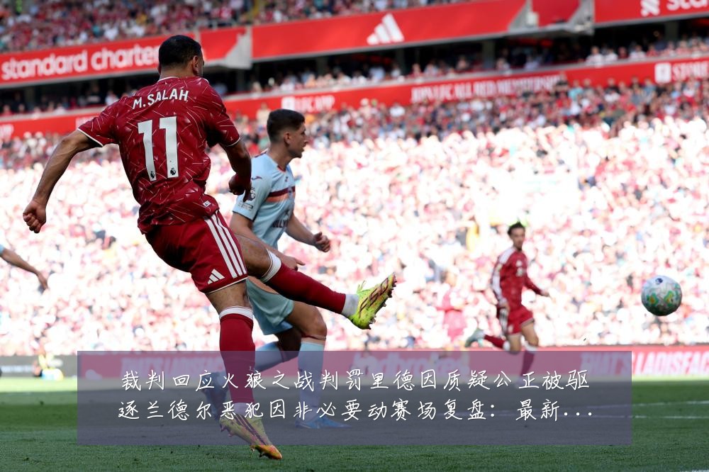 裁判回应火狼之战判罚里德因质疑公正被驱逐兰德尔恶犯因非必要动赛场复盘:最新赛事动态与深度分析